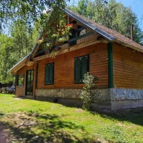 Robinzonski smještaj 